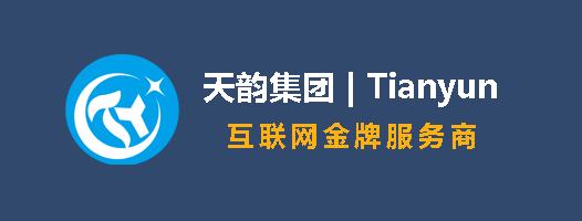 天韵集团-互联网金牌服务商